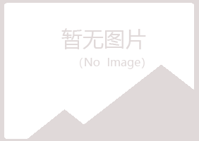 新疆夏岚化学有限公司